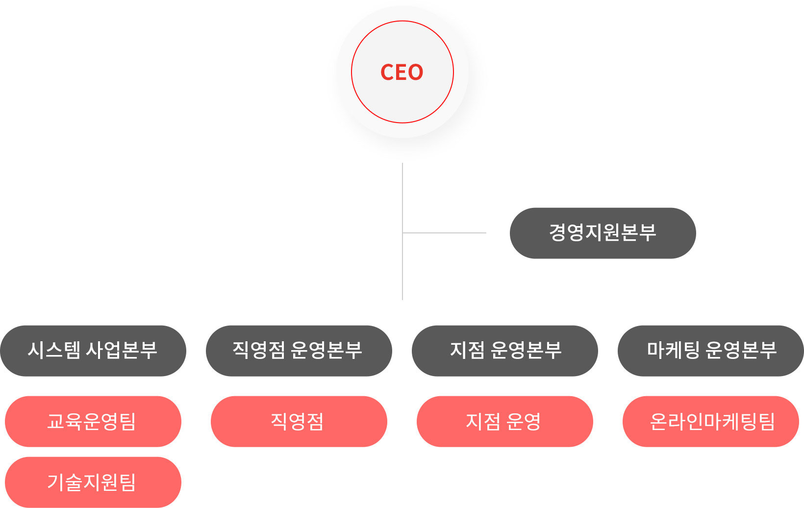 CEO - 경영지원본부 - 시스템사업본부 (교육운영팀, 기술지원팀), 직영점운영본부 (직영점), 지점 운영본부 (지점 운영), 마케팅 운영본부 (온라인마케팅팀)